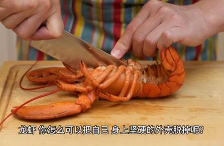 深海奇遇：寄居蟹与龙虾的意外邂逅